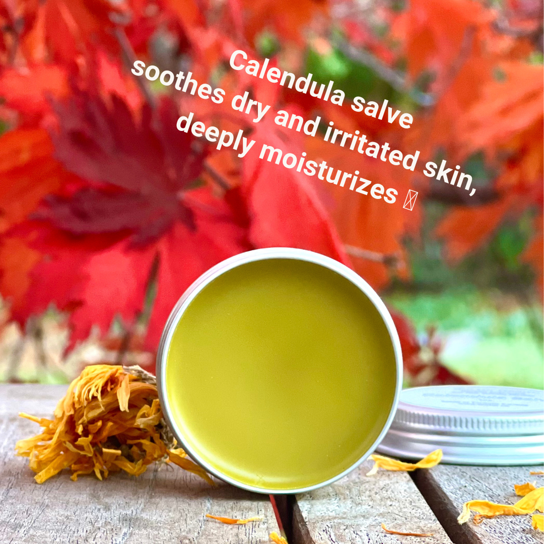Calendula Salve