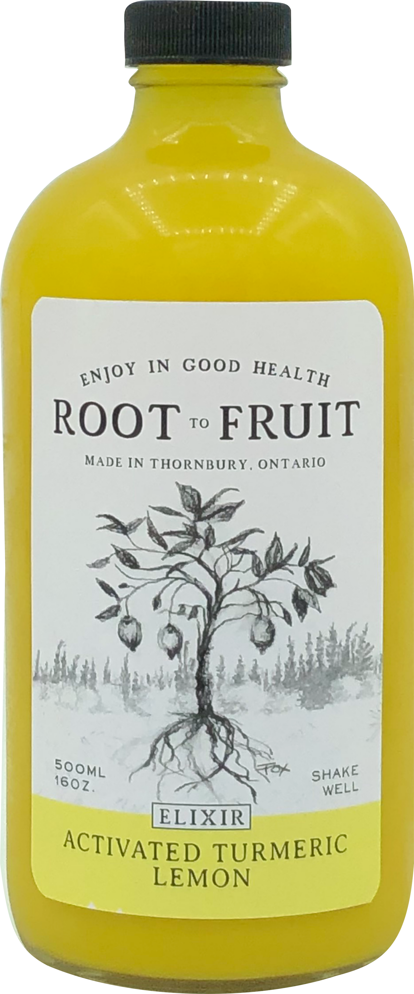 Root to Fruit Activated Turmeric Ginger Lemon - Case of 6
