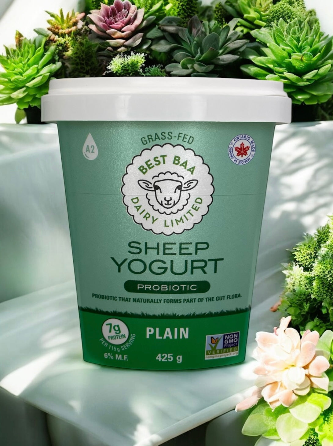 425g Plain Sheep Yogurt - RETAIL PACKAGING