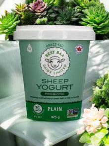 425g Plain Sheep Yogurt - RETAIL PACKAGING