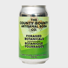 Foraged Botanicals Soda