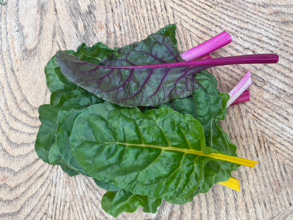 Organic Greens - Baby Chard - Hand Picked Small leaves 1lb Bulk