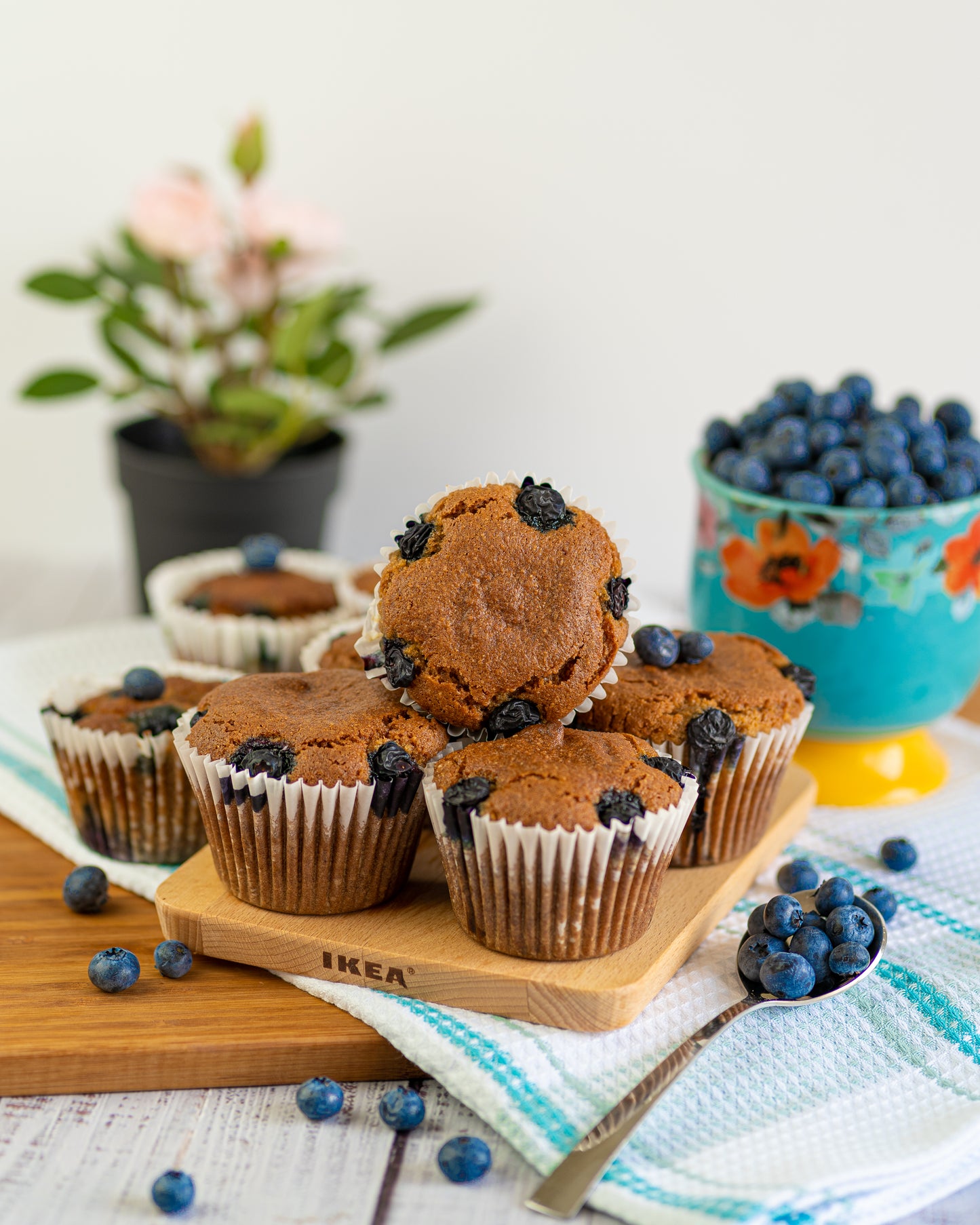 Protein Blueberry Muffins - Case of 6 Muffins (Bulk / Foodservice)