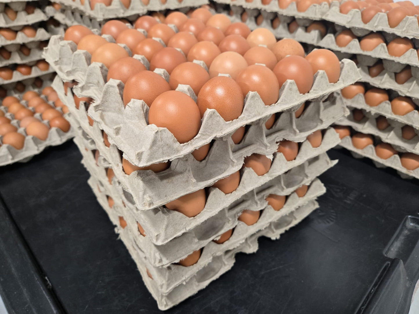 Pasture Raised Eggs