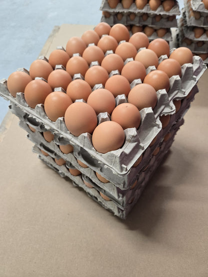 Pasture Raised Eggs