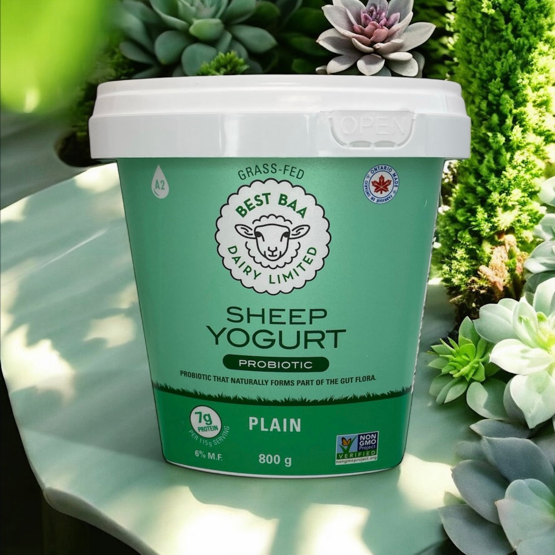 800g Plain Sheep Yogurt - RETAIL PACKAGING