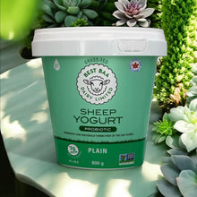 800g Plain Sheep Yogurt - RETAIL PACKAGING