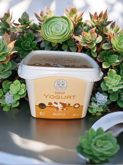 500g Maple Sheep Yogurt - RETAIL PACKAGING - ON SALE (reg $6.38)