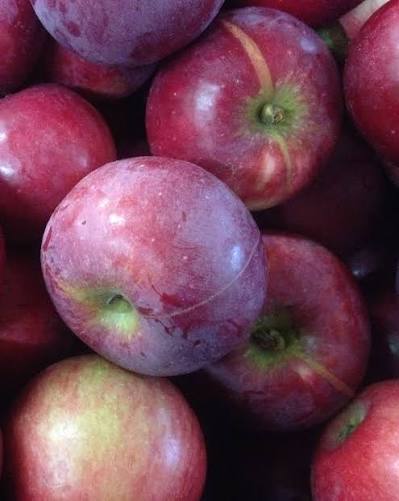 Mac's Apples