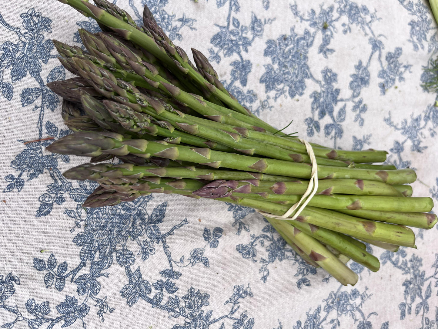 Asparagus