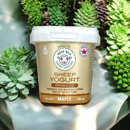 150g Maple Sheep Yogurt - RETAIL PACKAGING - SALE 25% OFF reg. $2.15