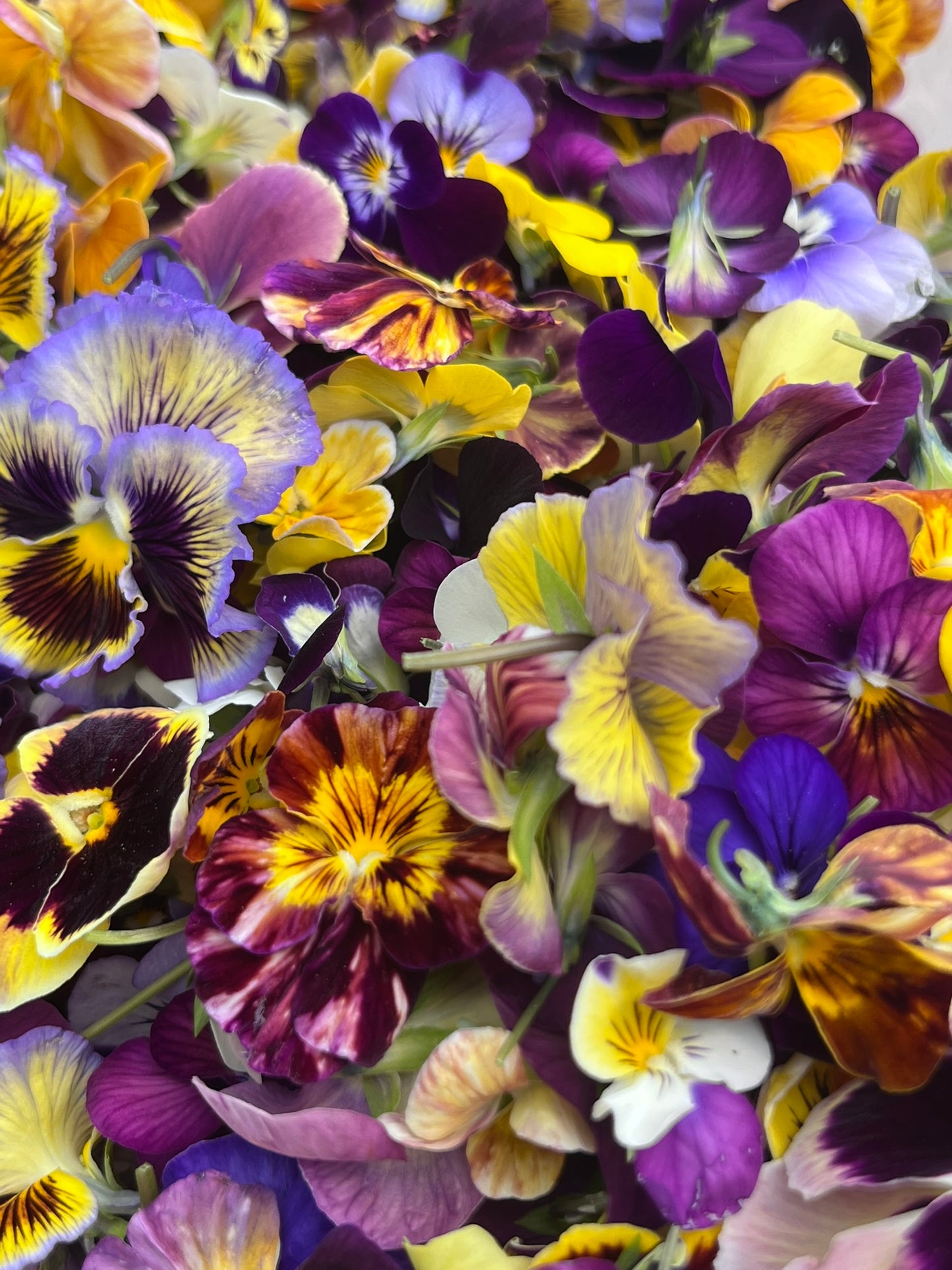 Organic Flowers - Edible - Mixed