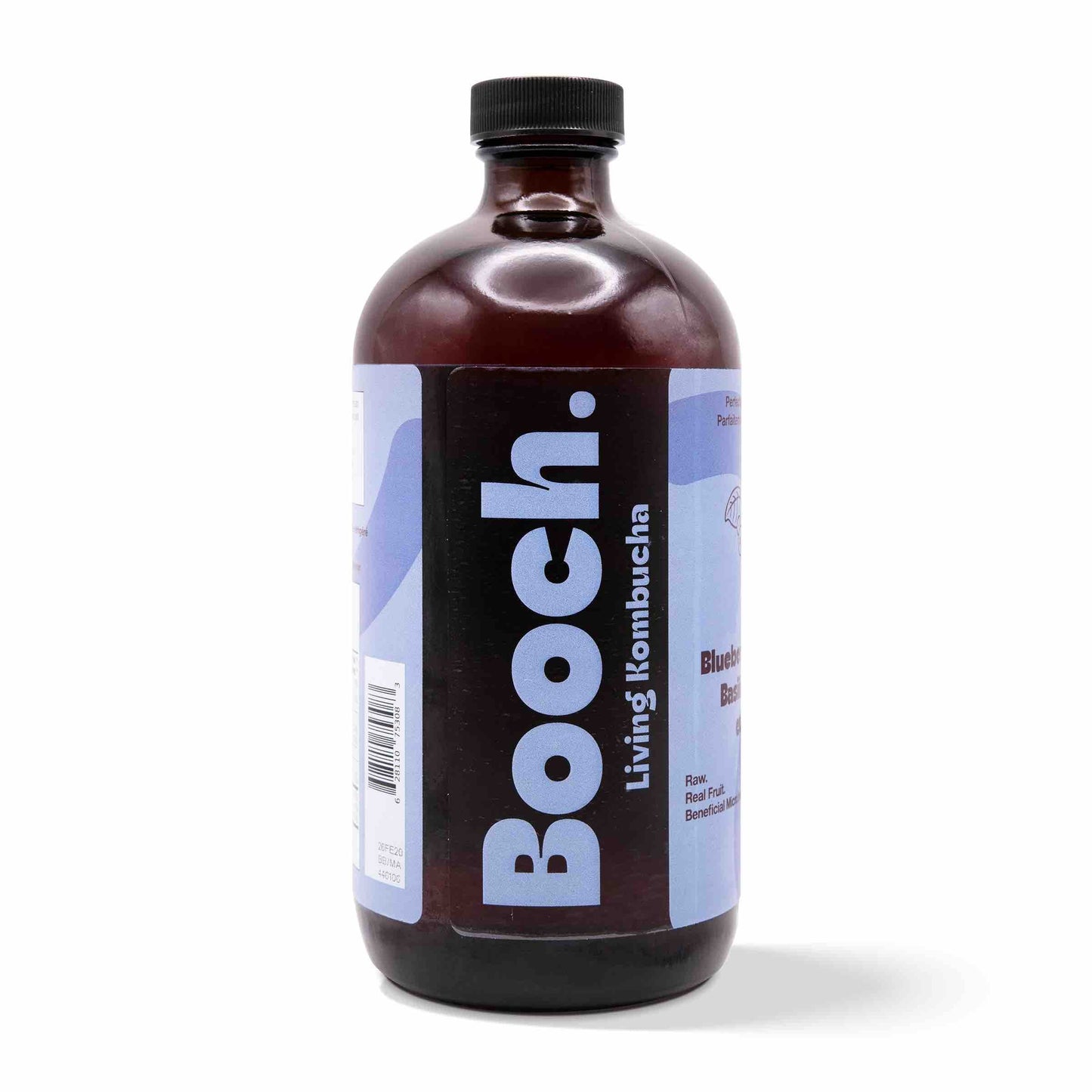 Kombucha - Blueberry Holy Basil (12 Bottles)