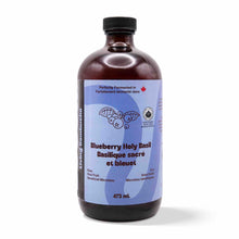 Kombucha - Blueberry Holy Basil (12 Bottles)
