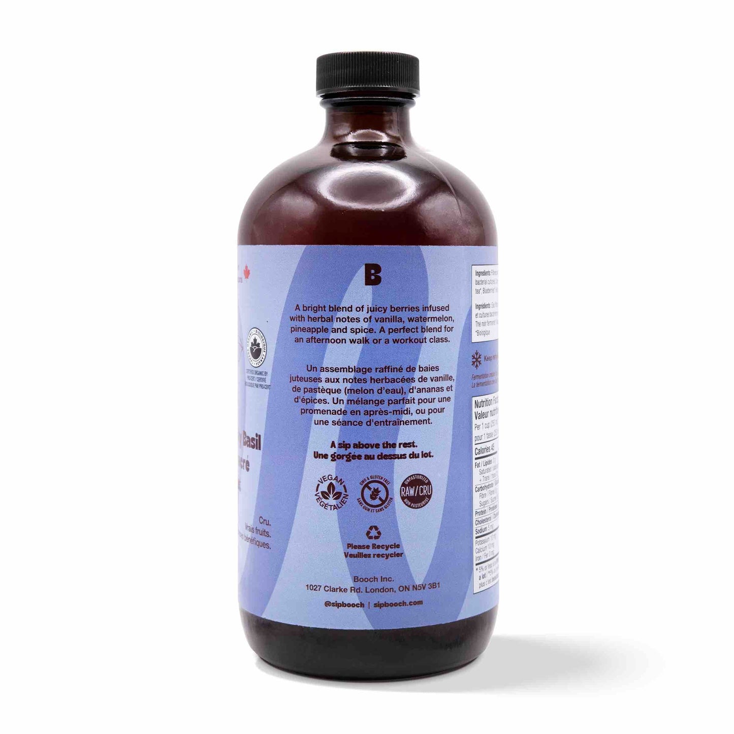 Kombucha - Blueberry Holy Basil (12 Bottles)