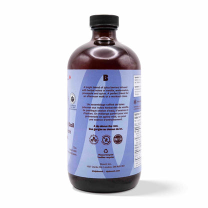 Kombucha - Blueberry Holy Basil (12 Bottles)