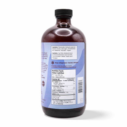 Kombucha - Blueberry Holy Basil (12 Bottles)