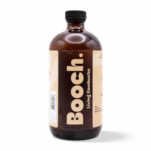 Kombucha - Ginger (12 Bottles)