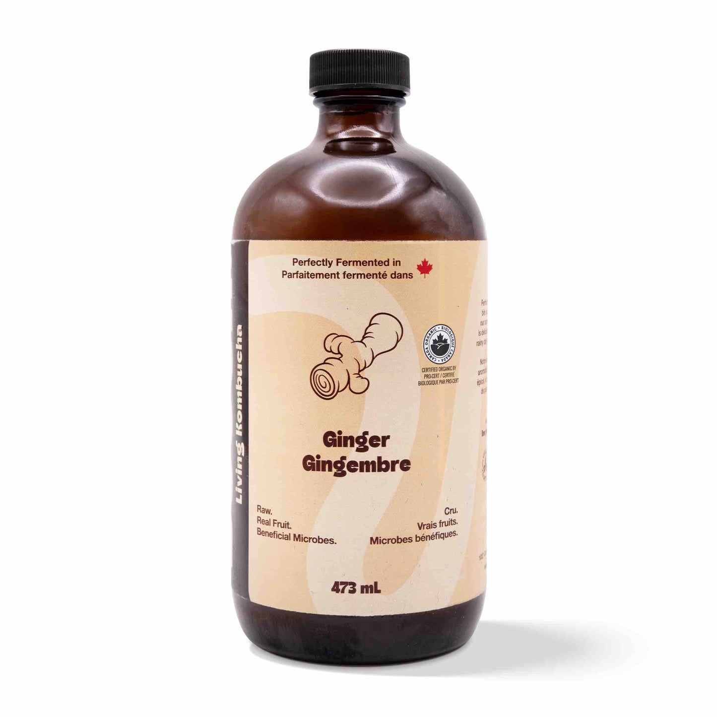 Kombucha - Ginger (12 Bottles)