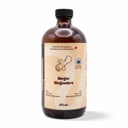 Kombucha - Ginger (12 Bottles)