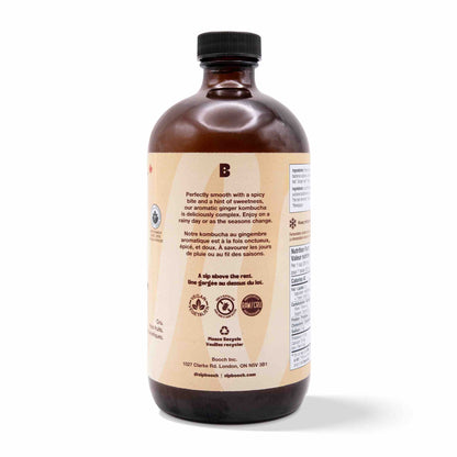 Kombucha - Ginger (12 Bottles)