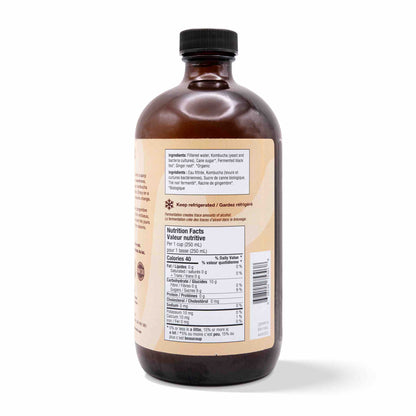 Kombucha - Ginger (12 Bottles)