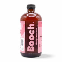 Kombucha - Raspberry Lemonade (12 Bottles)