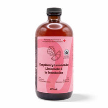 Kombucha - Raspberry Lemonade (12 Bottles)