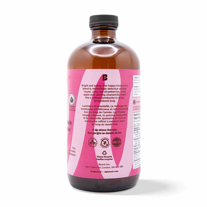 Kombucha - Strawberry Apple (12 Bottles)