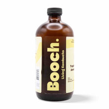 Kombucha - Tropical Pineapple (12 Bottles)