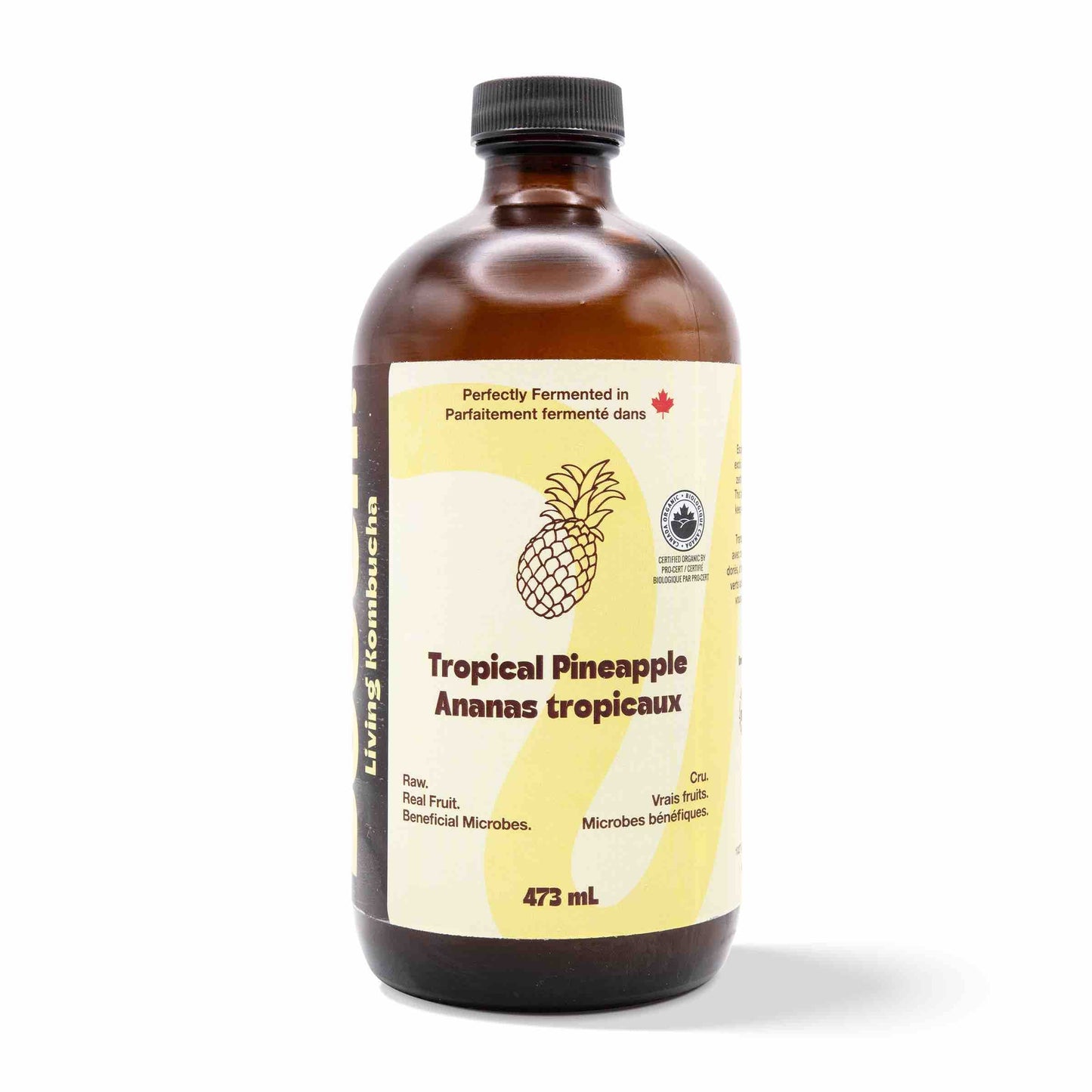 Kombucha - Tropical Pineapple (12 Bottles)