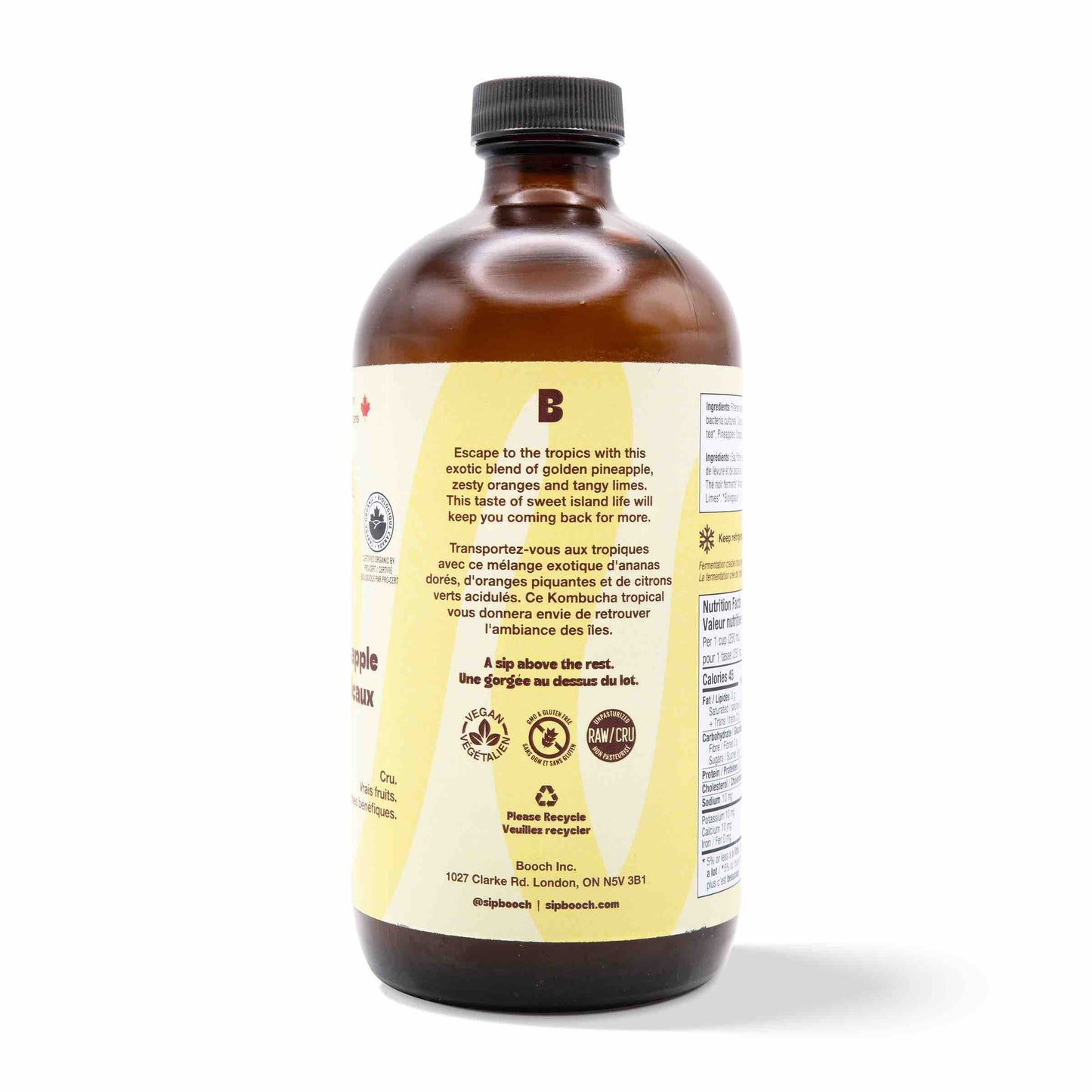 Kombucha - Tropical Pineapple (12 Bottles)