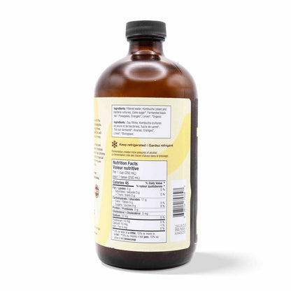 Kombucha - Tropical Pineapple (12 Bottles)