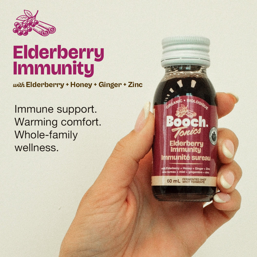 Booch Tonics. Elderberry Immunity (12 x 60 mL)
