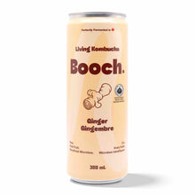 Kombucha - Ginger (12 Cans)