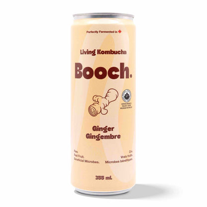 Kombucha - Ginger (12 Cans)