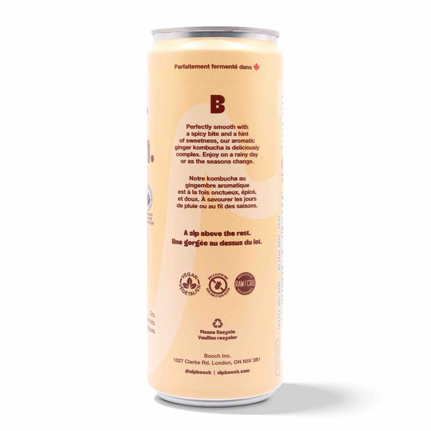 Kombucha - Ginger (12 Cans)