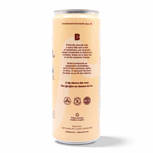 Kombucha - Ginger (12 Cans)