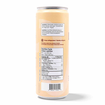 Kombucha - Ginger (12 Cans)