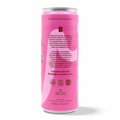 Kombucha - Strawberry Apple (12 Cans)