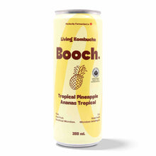 Kombucha - Tropical Pineapple (12 Cans)