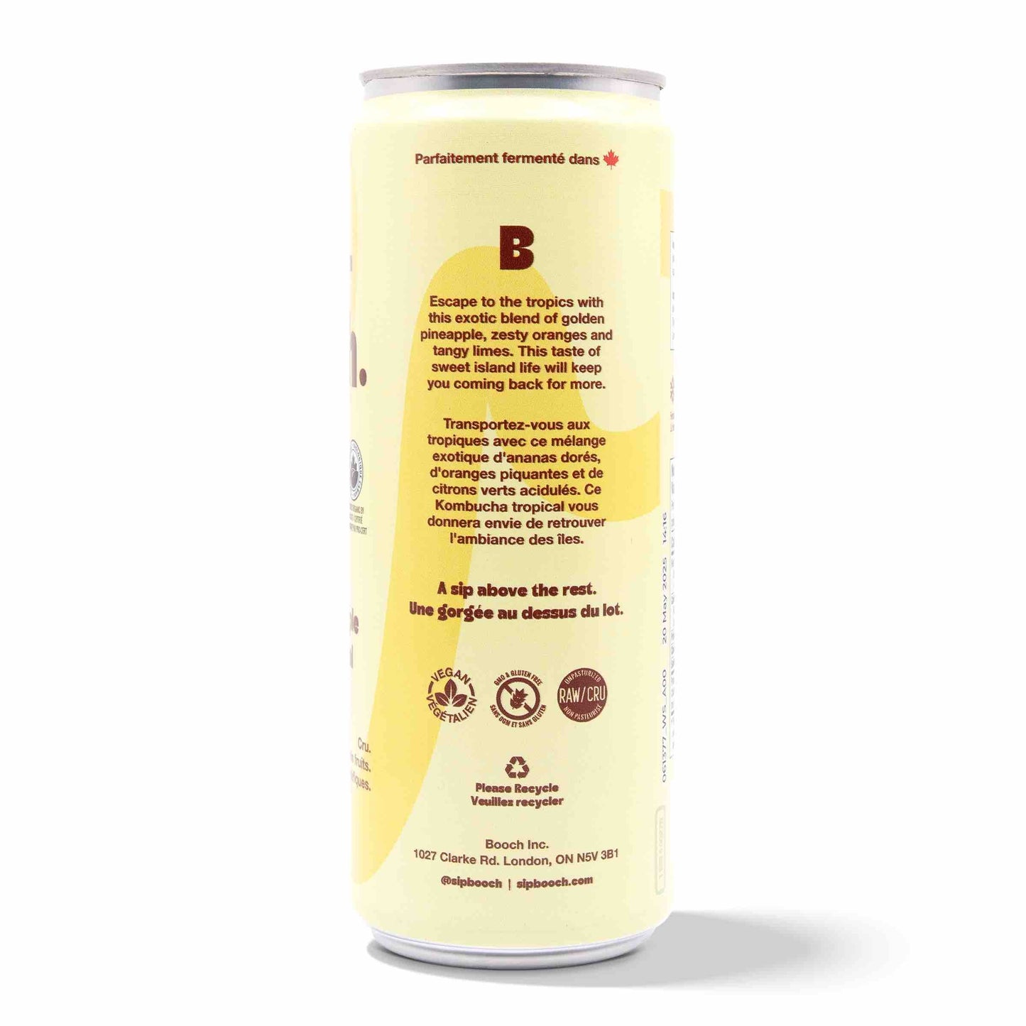 Kombucha - Tropical Pineapple (12 Cans)