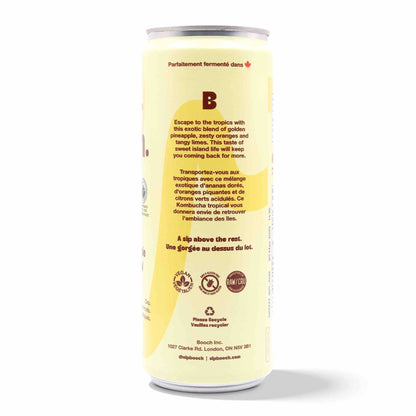 Kombucha - Tropical Pineapple (12 Cans)