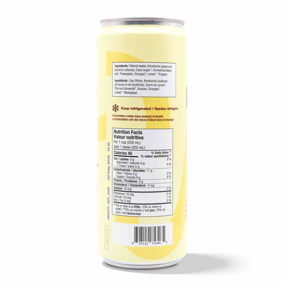 Kombucha - Tropical Pineapple (12 Cans)