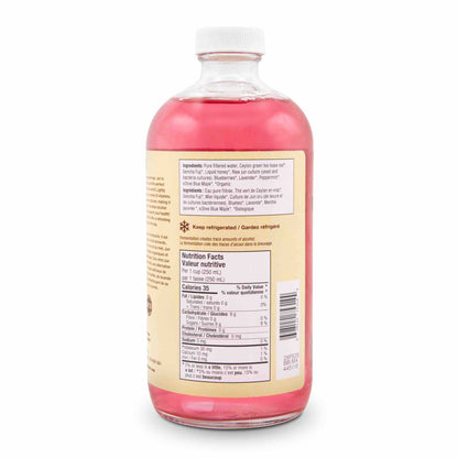 Sparkling Green Tea - Blueberry, Lavender & Mint (6 Bottles)