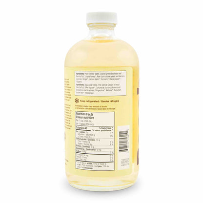 Sparkling Green Tea - Ginger, Turmeric & Lemon Balm (6 Bottles)