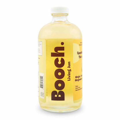 Sparkling Green Tea - Ginger, Turmeric & Lemon Balm (6 Bottles)