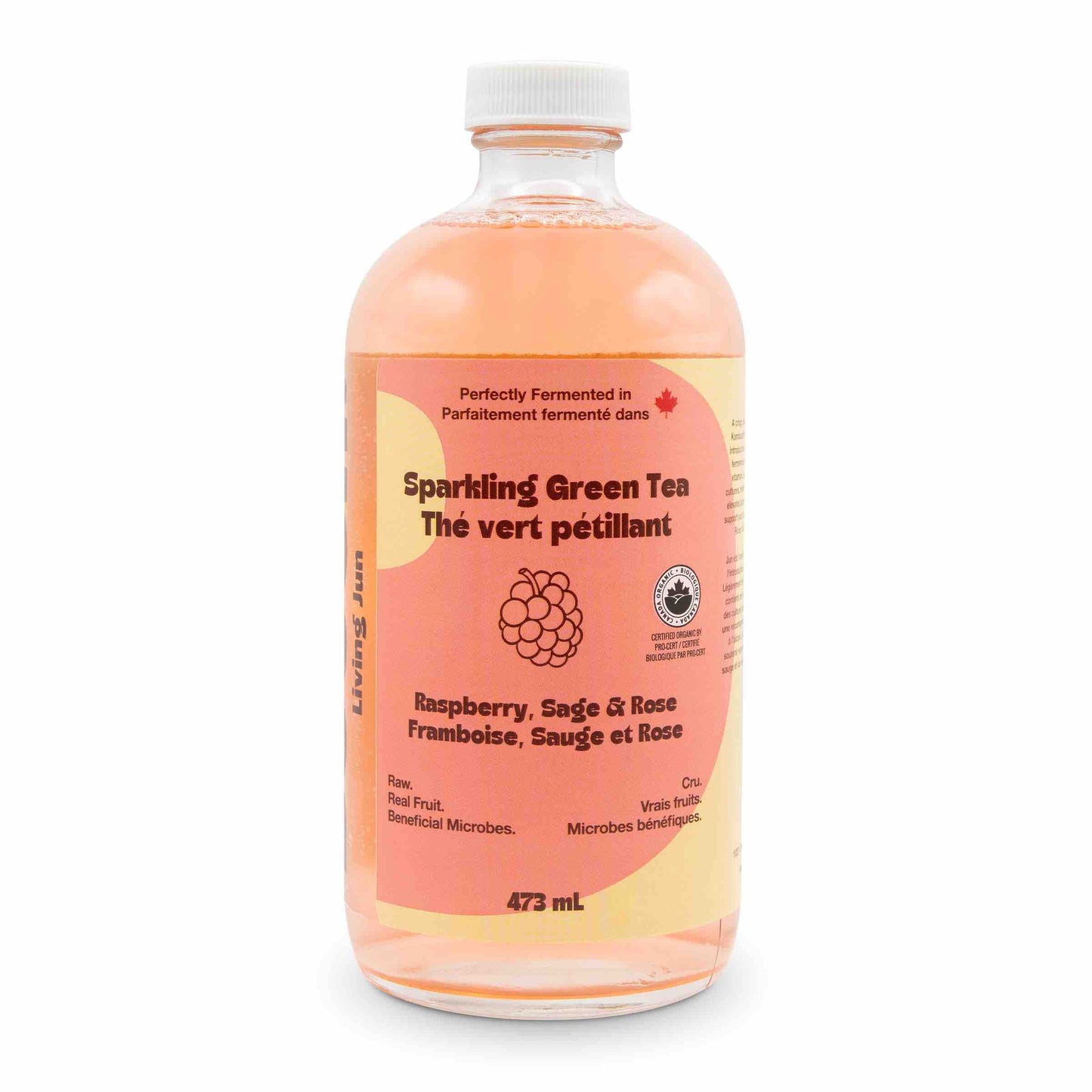 Sparkling Green Tea - Raspberry, Sage & Rose (6 Bottles)