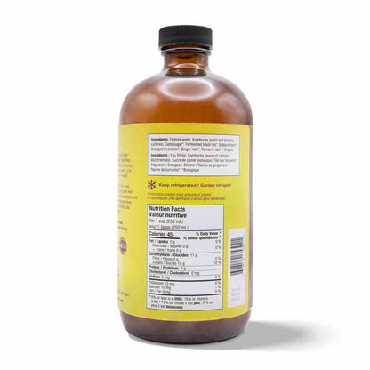 Kombucha - Citrus Twist (12 Bottles)