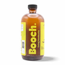 Kombucha - Citrus Twist (12 Bottles)